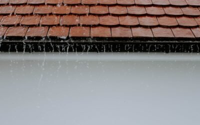 Toiture à Genève : L’entreprise intervient-elle dans les communes autour de Genève (Lancy, Meyrin, Thônex, etc.) ?