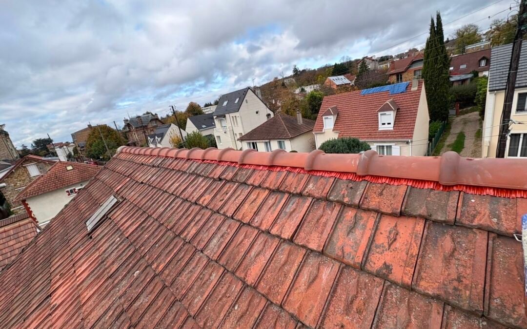 Quand faire appel à un couvreur à Cormeilles-en-Parisis après une infiltration d’eau ?